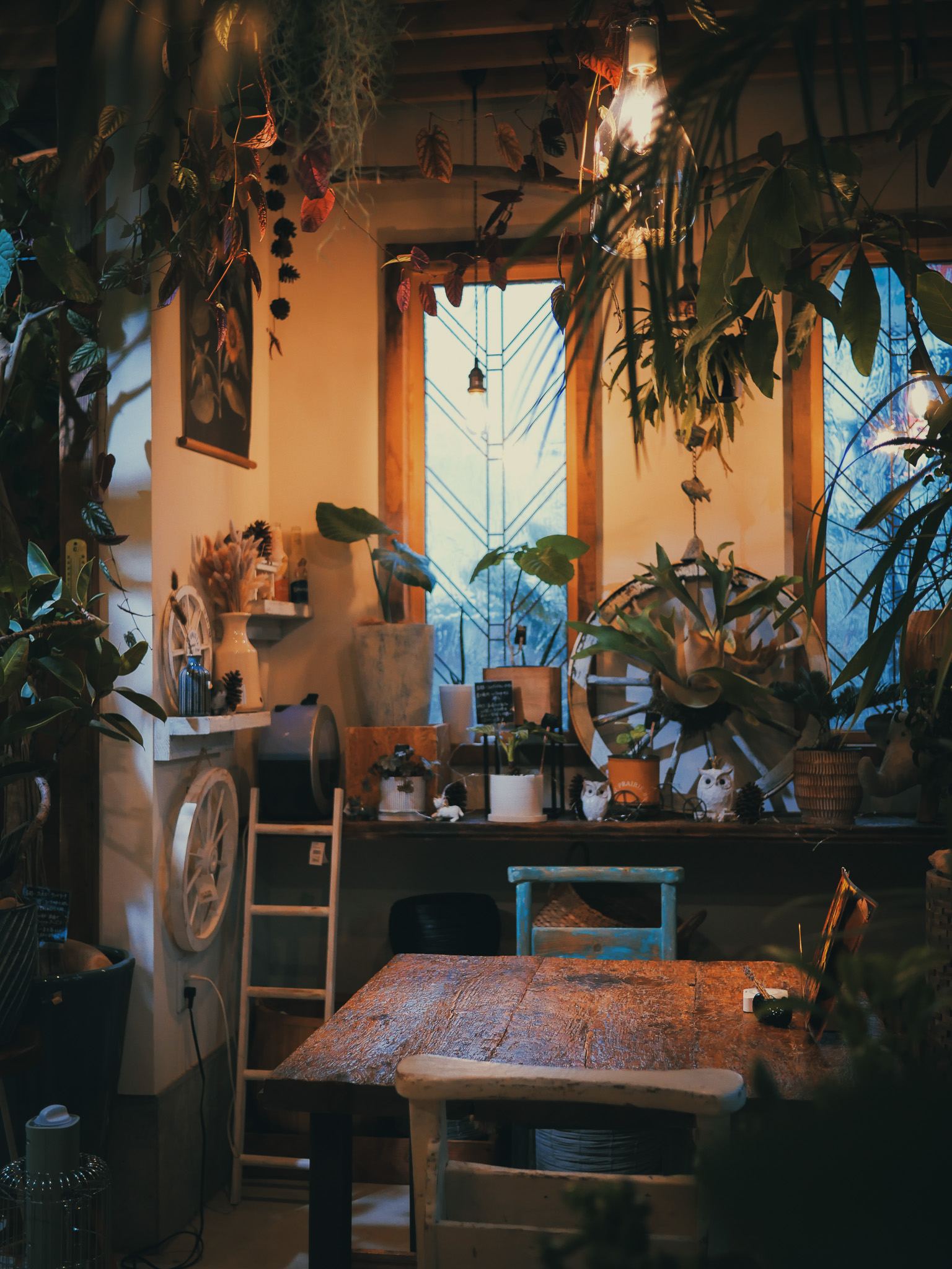 Plant-filled cafe interior with warm lighting and wooden tables