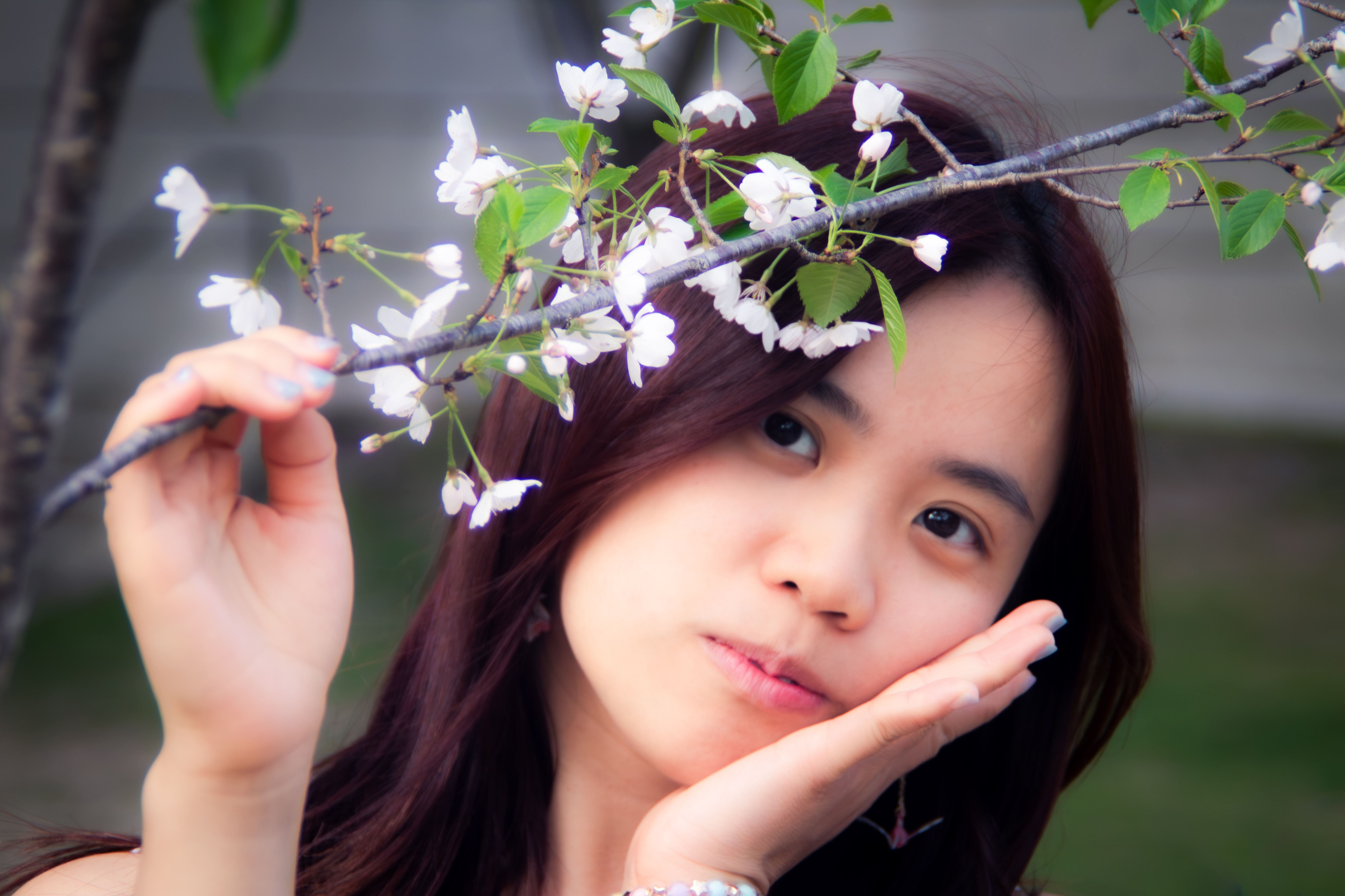 Portrait beneath white blossoms